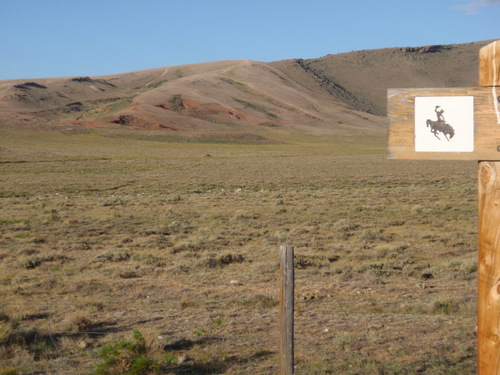 A few Antelope (beyond the Paint Mine Sign).